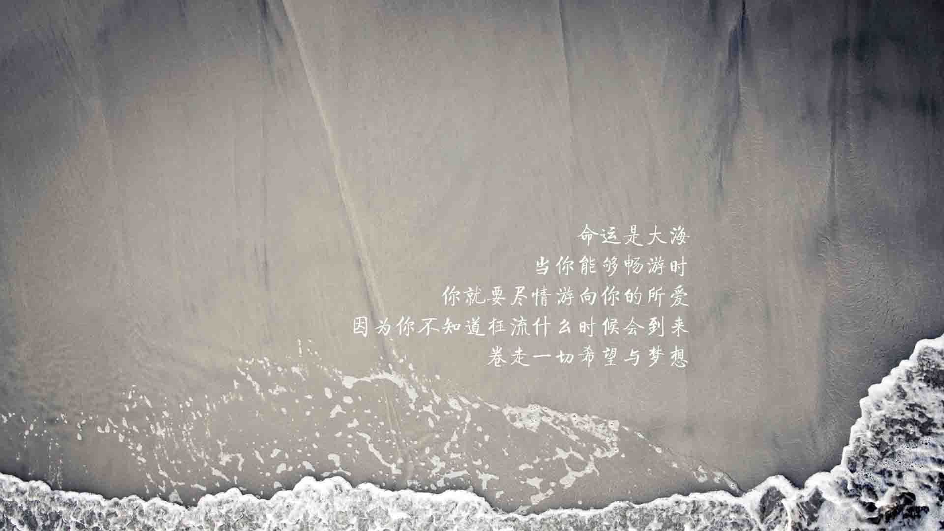 TL被评为北美最具商业潜力战队之一，英雄联盟北美战队tsm战绩