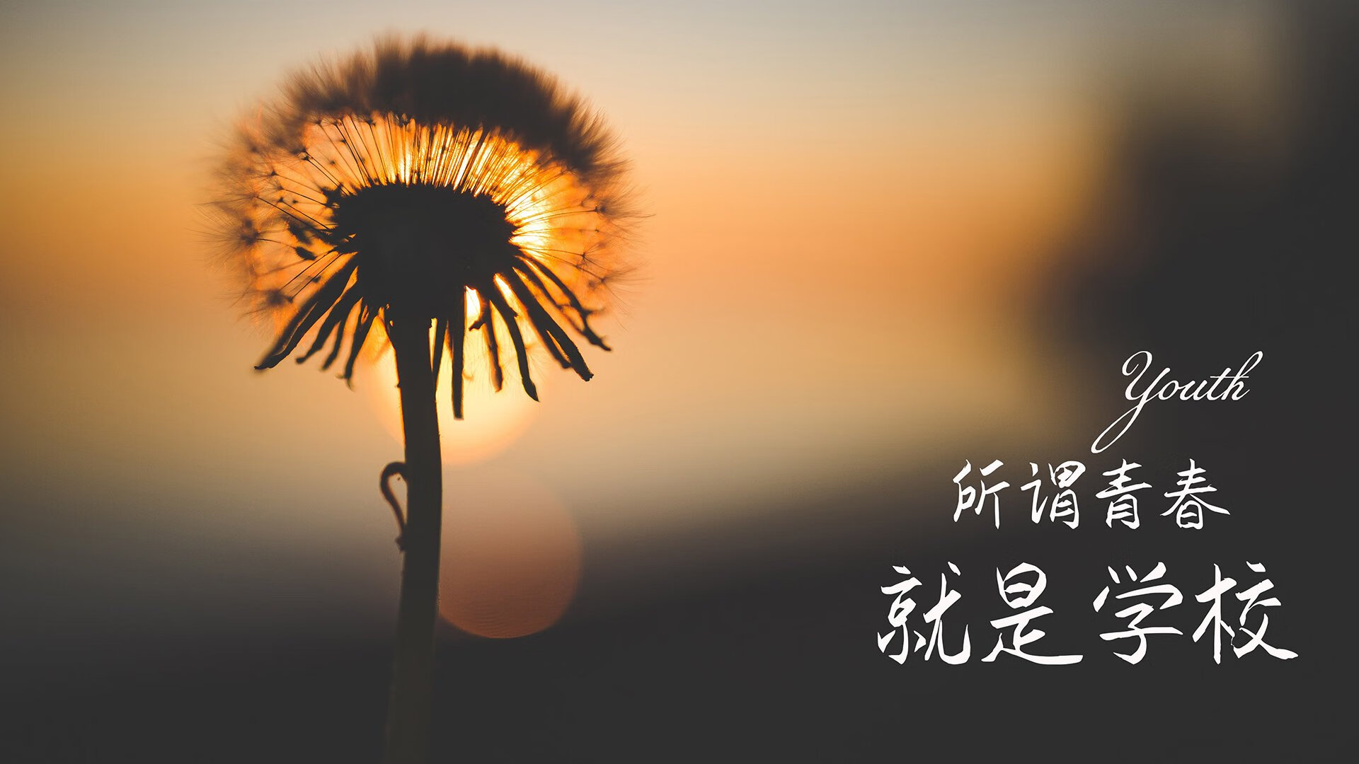 沃特福德防线稳固，黄蜂军团剑指前四，沃特福德绝杀