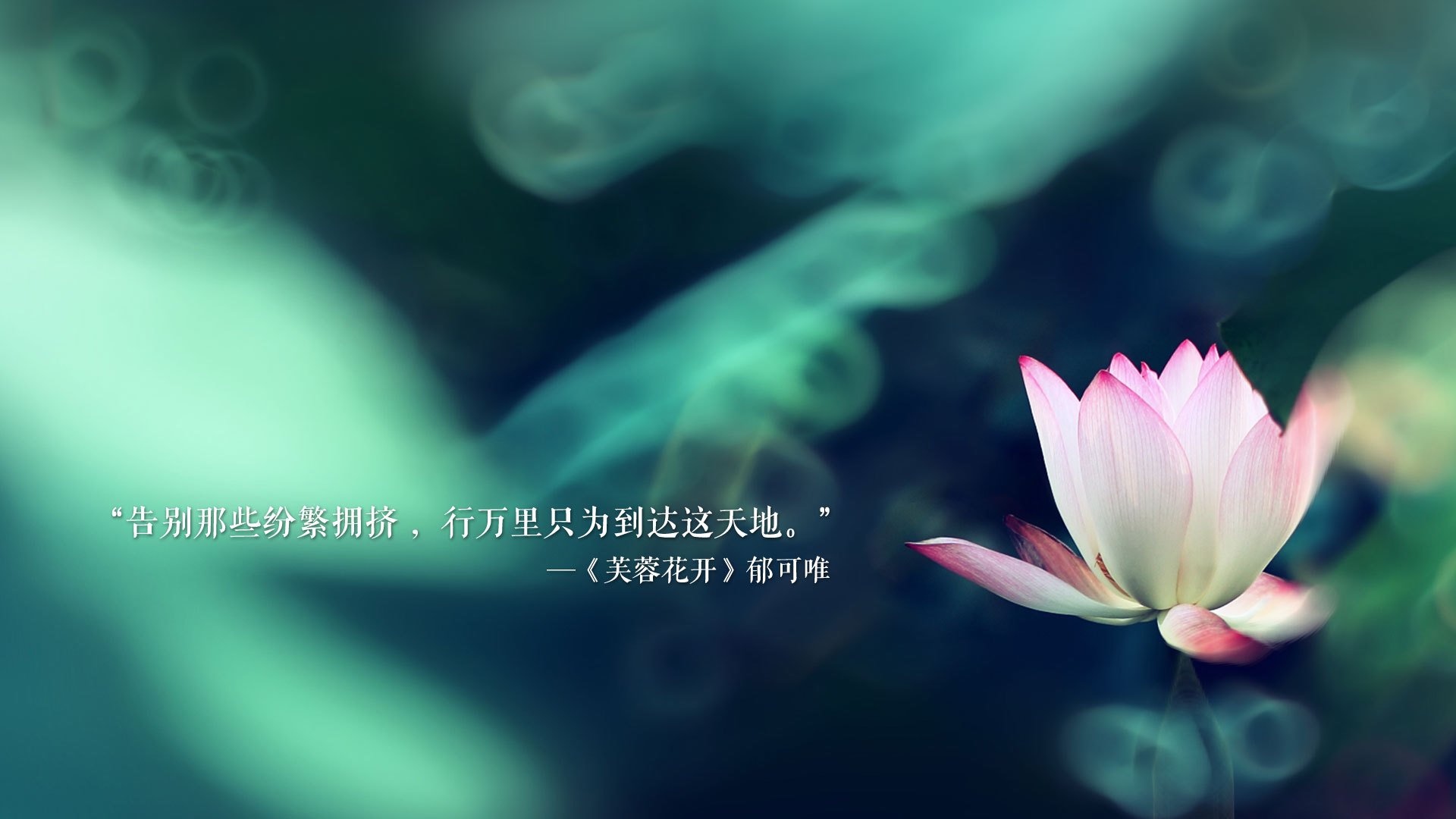 国际乒联混合团体世界杯：新加坡队能否突破世界强队的封锁，世乒赛新加坡夺冠视频