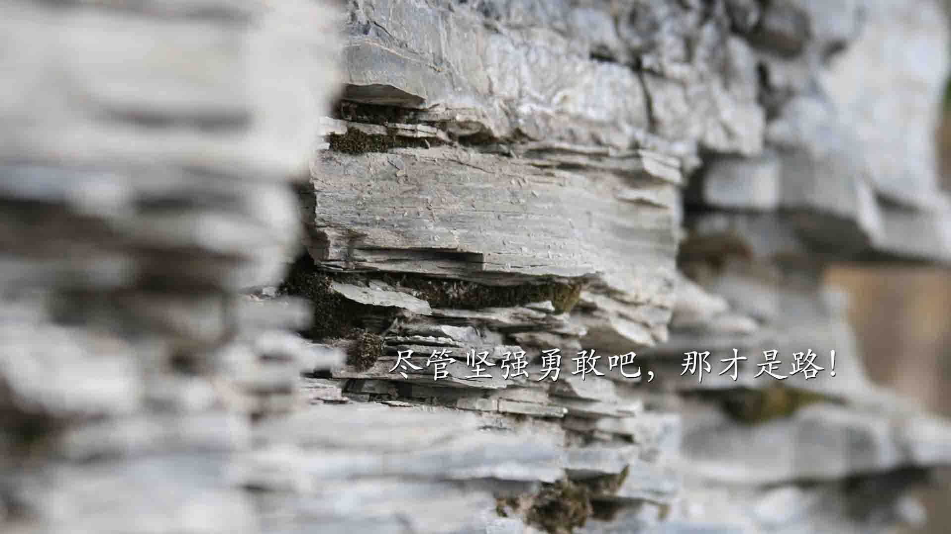 青年运动员表现数据进入大学招生考量，青运会运动员年龄标准