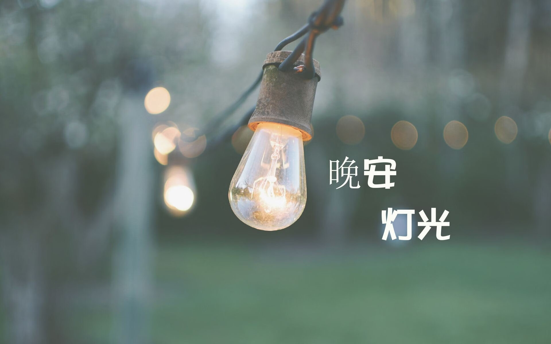 女子橄榄球商业价值快速上升，女子橄榄球运动