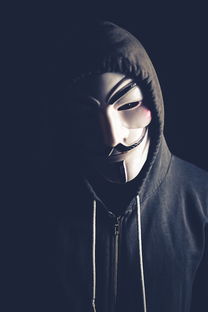 弗朗索瓦·斯图尔特：出色的进攻组织者，带领南非队稳步向前，弗朗索瓦莱特瑞尔