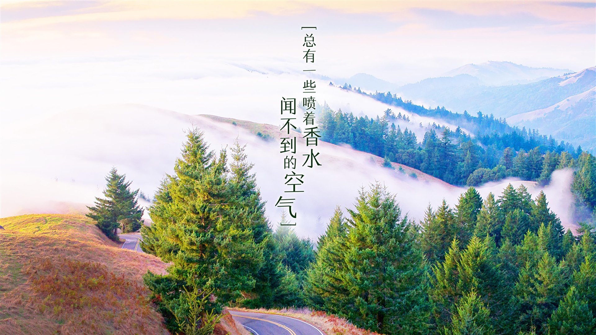 比利时男篮在欧洲预赛中全力冲刺，期待奥运开门红，比利时队2021欧洲杯
